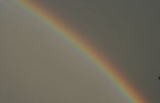 Regenbogen-A3.jpg